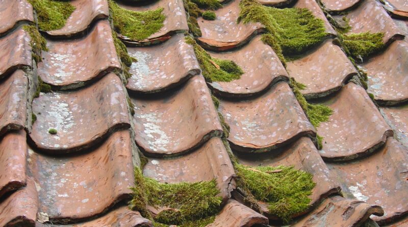Old clay tile roof with moss growing on it, showing how roofs weather with age